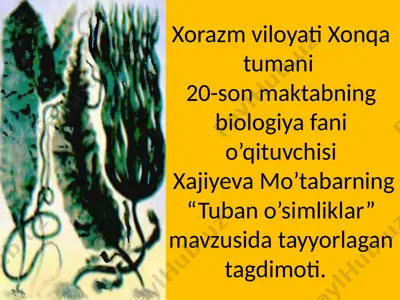 tuban o’simliklar tagdimoti — PPTX