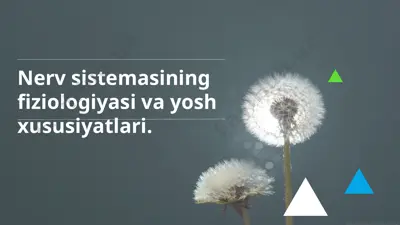 nerv sistemasining fiziologiyasi va yosh xususiyatlari — PPTX