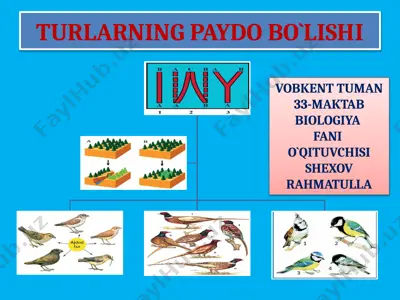 tur paydo bo‘lishining tushuntirish usullari — PPTX