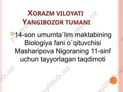 ekotizimlarning trofik strukturasi — PPTX