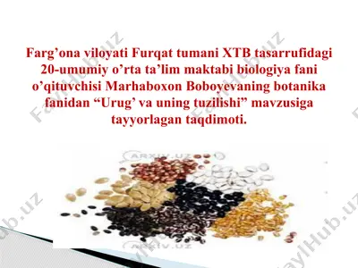 urug’ va uning tuzilishi taqdimoti — PPTX