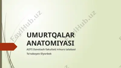 umurtqalar anatomiyasi — PPTX