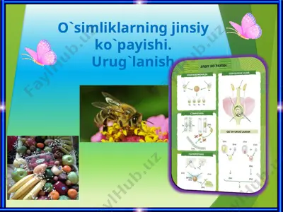 o`simliklarning jinsiy ko`payishi. — PPTX