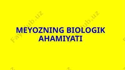 meyozning biologik ahamiyati — PPTX
