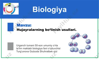 hujayralarning bo‘linish usullari — PPTX
