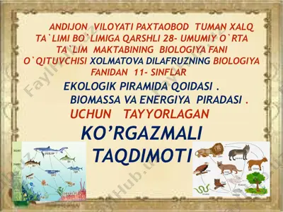 ekologik piramida qoidasi — PPTX