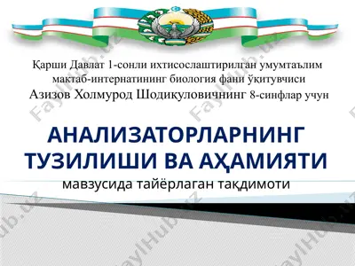анализаторларнинг тузилиши ва аҳамияти — PPTX