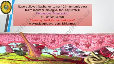 "terining tuzilishi va funksiyasi" mavzusidagi slayd dars ishlanmasi — PPTX