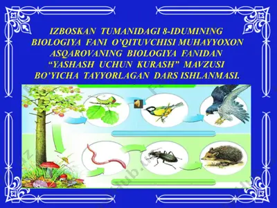 izboskan tumanidagi 8-idumining biologiya fani "yashash uchun kurash" mavzusi bo'yicha tayyorlagan dars ishlanmasi — PPTX