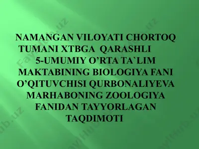 yirtqich sutemizuvchilar turkumi taqdimoti — PPTX