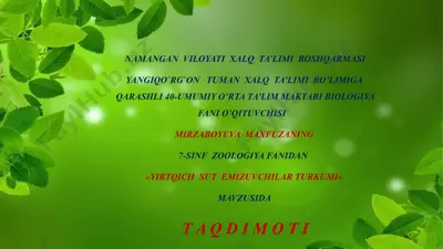 yirtqich sut emizuvchilar turkumi — PPTX