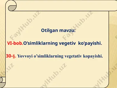 yovvoyi o’simliklarning vegetativ ko’payishi — PPTX