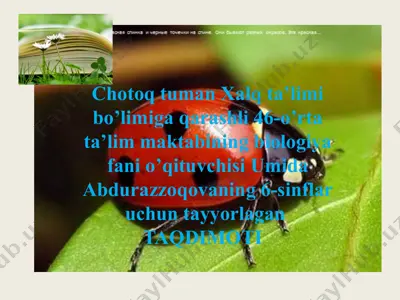 biologiya fanida olib boriladigan "yovvoyi o’simliklarning vegetativ ko’payishi" taqdimoti — PPTX