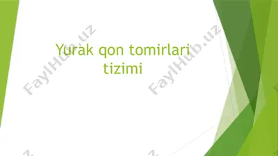 yurak qon tomirlari tizimi — PPTX