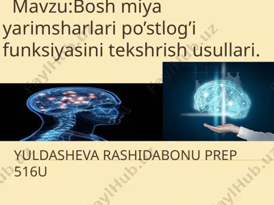 bosh miya yarimsharlari po’stlog’i funksiyasini tekshrish usullari — PPTX