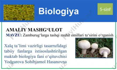 zamburug‘larga tashqi muhit omillari ta‘sirini o‘rganish — PPTX