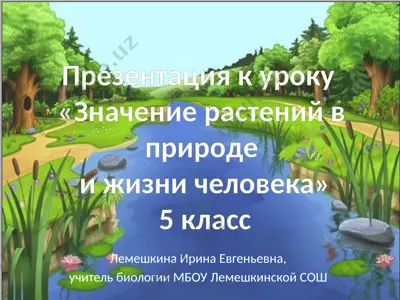 презентация к уроку «значение растений в природе и жизни человека» 5 класс — PPTX
