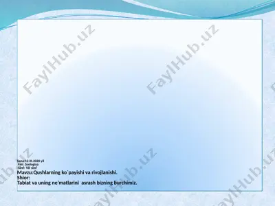zoologiya fanidan qushlar haqida ma'lumot — PPTX