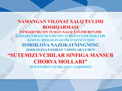 "sutemizuvchilar sinfiga mansub chorva mollari taqdimoti" — PPTX