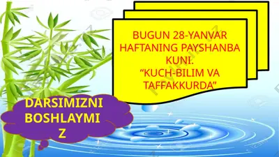 baliqlarning ichki tuzulishi — PPTX