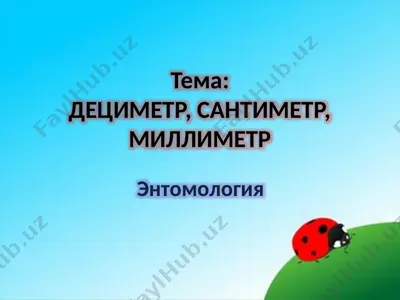 дециметр, сантиметр, миллиметр — PPTX