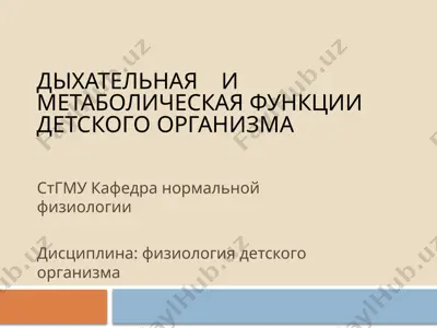 дыхательная и метаболическая функции детского организма — PPTX