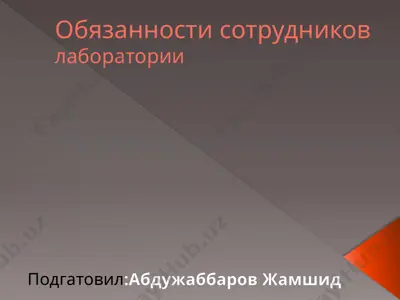 обязанности сотрудников лаборатории — PPTX