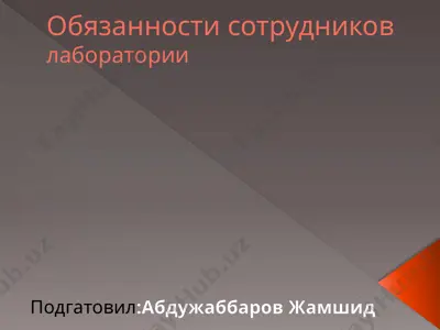 обязанности сотрудников лаборатории — PPTX