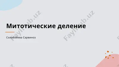 митотические деление — PPTX