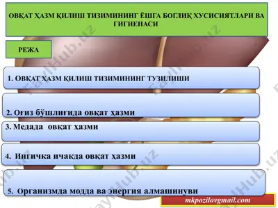 овқат ҳазм қилиш тизимининг ёшга боглиқ хусисиятлари ва гигиенаси — PPTX