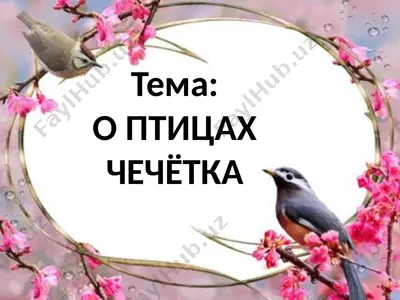 ptitsevadonlik haqida ma'lumotlar — PPTX