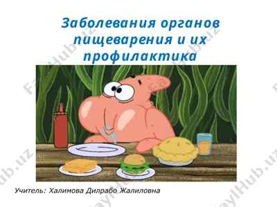 заболевания органов пищеварения и их профилактика — PPTX
