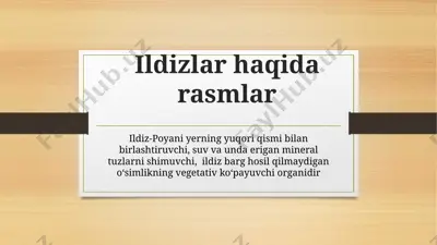 ildizlar haqida rasmlar — PPTX