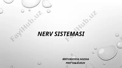 nerv sistemasi — PPTX