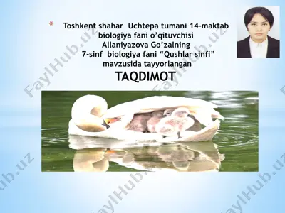 qushlar sinfi taqdimoti — PPTX