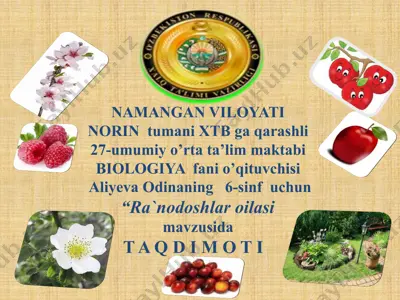 ra`nodoshlar oilasi — PPTX