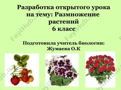 разработка открытого урока на тему: размножение растений — PPTX