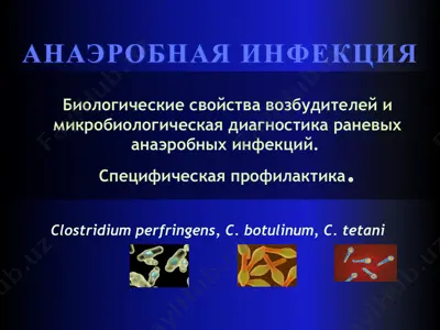 биологические свойства возбудителей и микробиологическая диагностика раневых анаэробных инфекций. специфическая профилактика. — PPTX