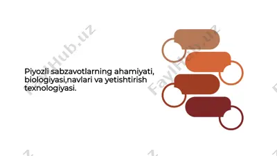 piyozli sabzavotlarning ahamiyati, biologiyasi, navlari va yetishtirish texnologiyasi — PPTX