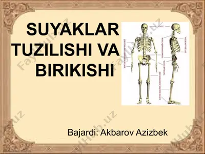 suyaklar tuzilishi va birikishi — PPTX