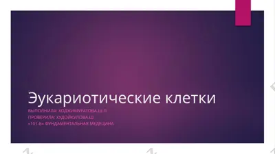 эукариотические клетки — PPTX
