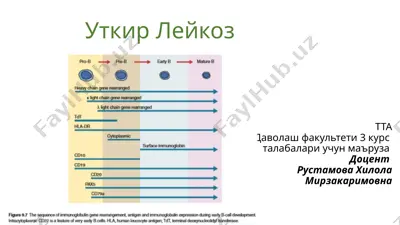 уткир лейкоз — PPTX