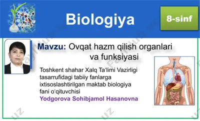 ovqat hazm qilish organlari va funksiyasi — PPTX