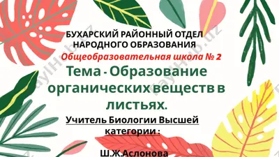 учитель биологии высшей категории — PPTX