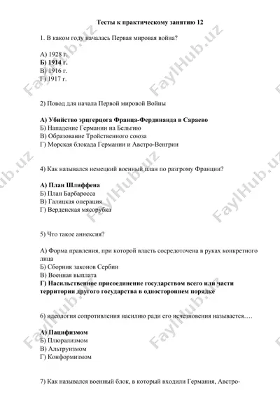 первая мировая война — DOCX