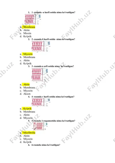 biologiya sinovlari test savollari — DOCX