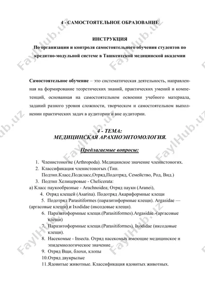 самостоятельное образование — DOCX