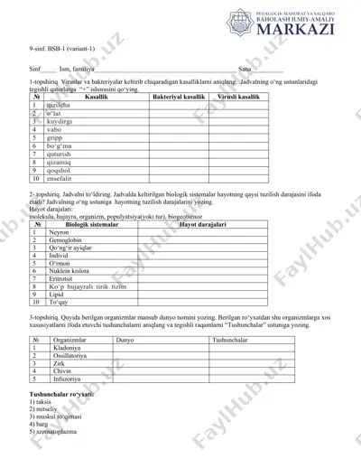 9-sinf. bsb-1 (variant-1) — DOCX