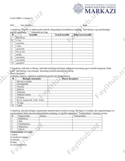 9-sinf. bsb-1 (variant-2) — DOCX