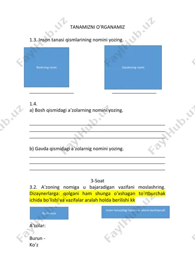 inson anatomiyasi tanqidiy topshiriqlar — DOCX